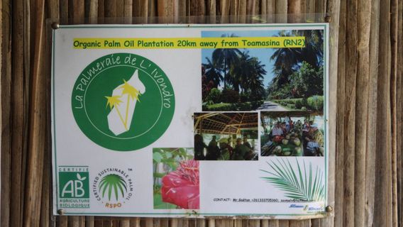 La Palmeraie de l'Ivondro