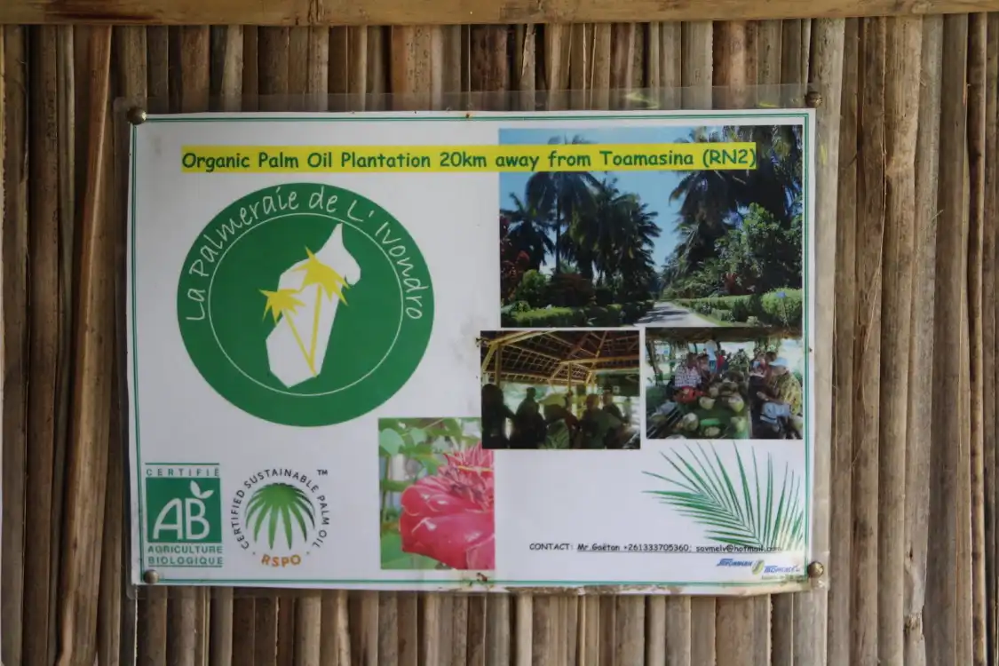 Hotels near La Palmeraie de l'Ivondro