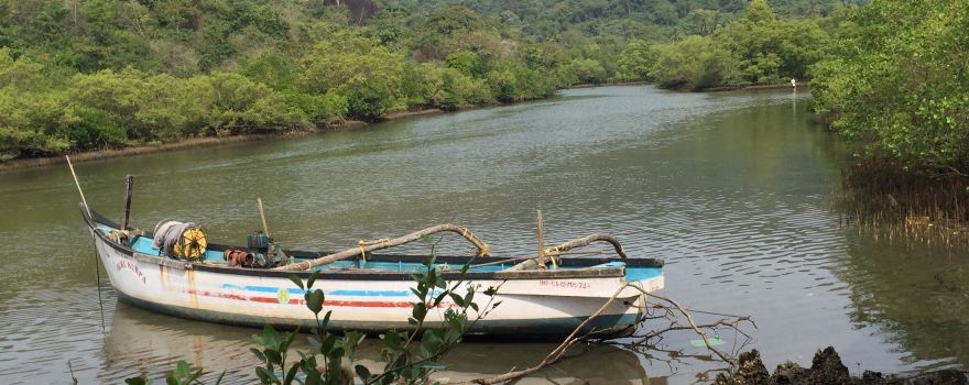 Palolem Island Reserve