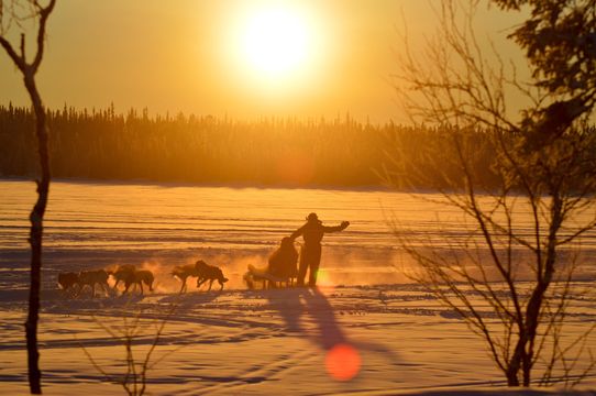 Camp Alta Kiruna