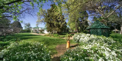 Miss Traill’s House