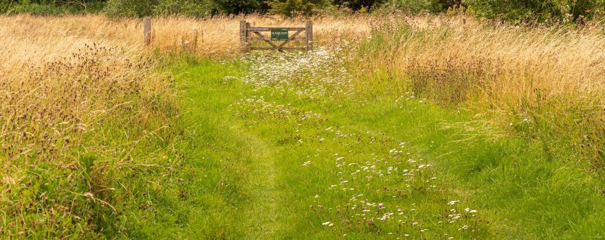 Linford Lakes Nature Reserve - Permit Only Site
