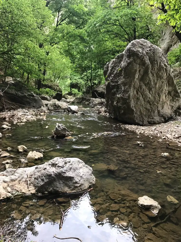 Kladovo