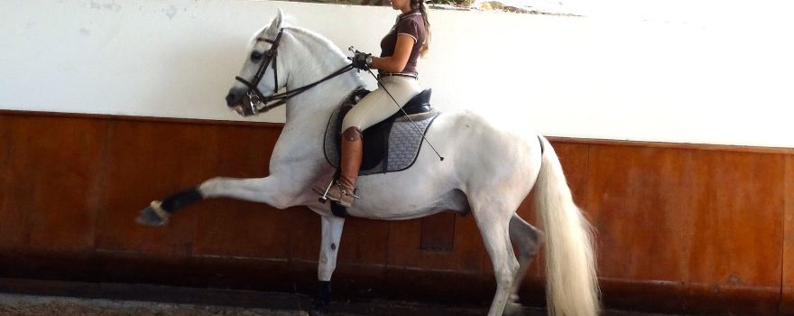 Lusitanos Riding Centre