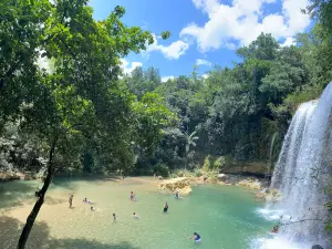 Salto Alto