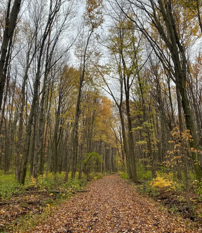 Leroy Township