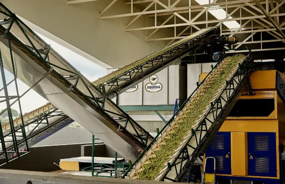 費拉里亞阿連特茹