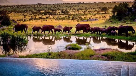 Northern Masailand Safaris