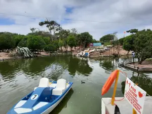 Lago de los Cisnes