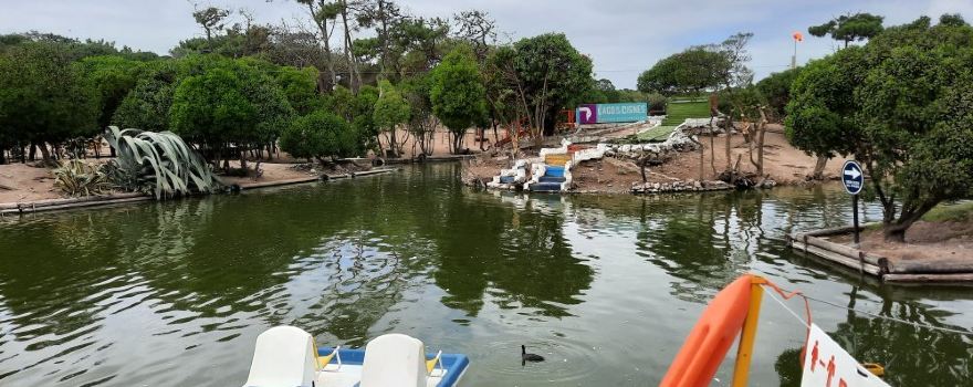 Lago de los Cisnes