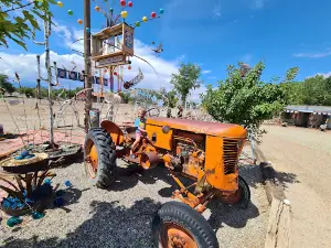 Carl’s Critter Garden