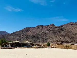 Dayra Camp