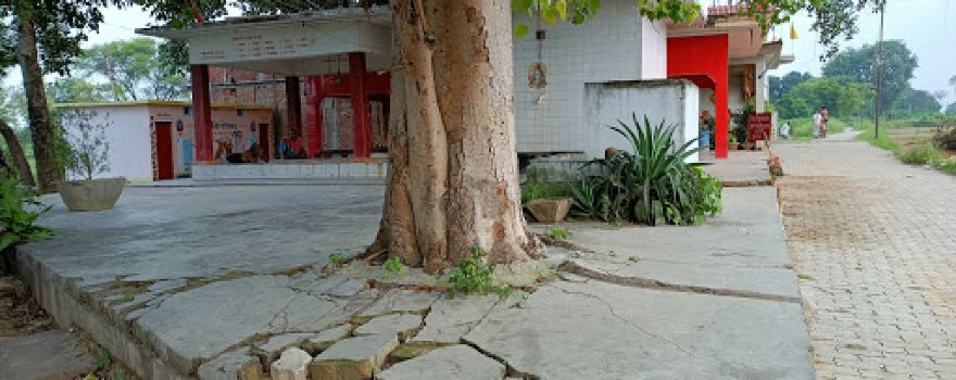 Damhari Baba Mandir(Raipur)