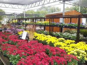 Farmer's Market Garden Center