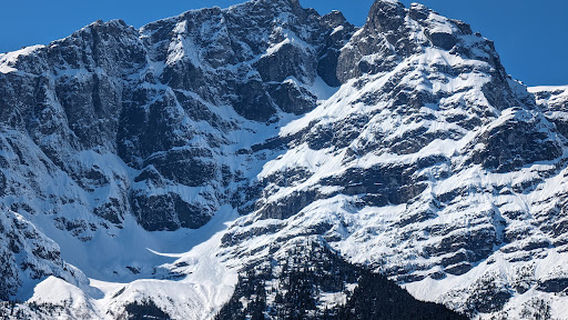 Stupendous Viewpoint