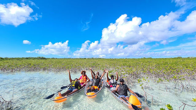 Clear Wave (Clear Kayak Mangrove Tour/ Drone Photoshoot )