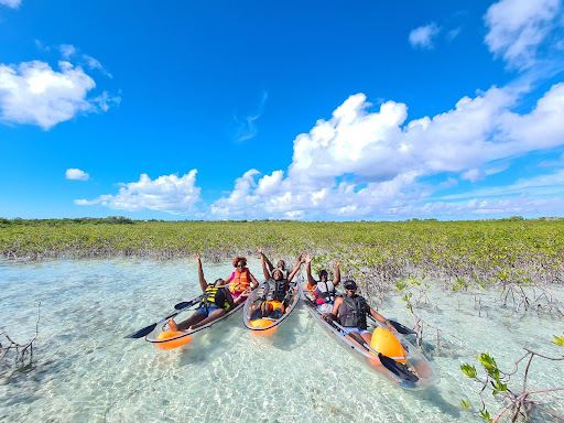 Clear Wave Tours – Clear Kayak & Boat in Turks & Caicos