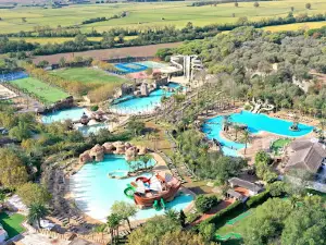 El Delfin Verde