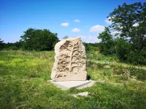 Szomolyai kaptárkövek Természetvédelmi terület
