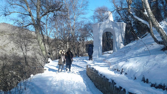 ツァルスカヤ・ポリャナ