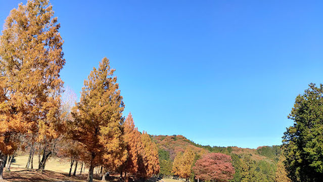 Pete Dye Golf Club - Royal Course