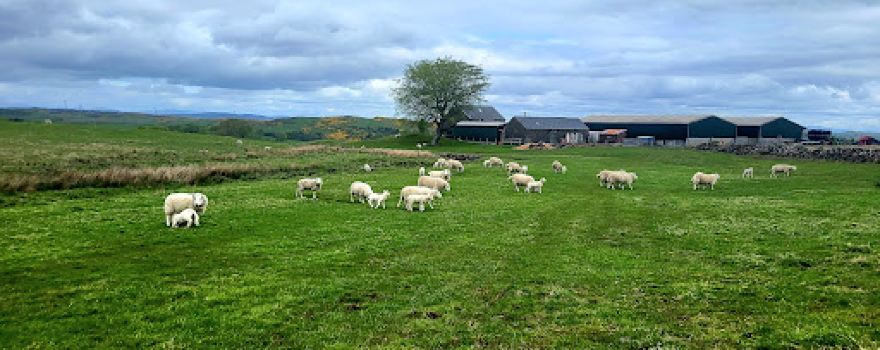 Kilmacolm Farm Tours
