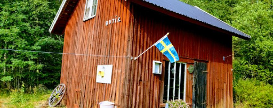 Bjorkilsatern Huskyfarm