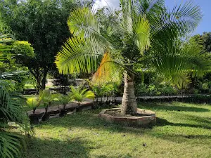 Chingarel Biodiversity Park