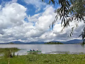 Muelle de Ucazanaztacua
