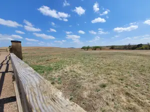 Prairie Dog Town