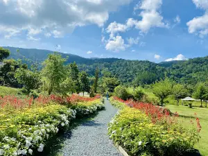 The Florest - Hoa Trong Rừng