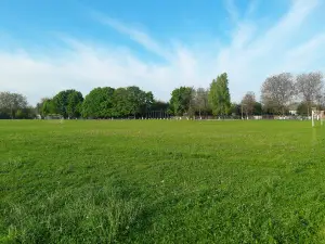 Stadion. Vapnyarka
