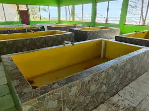 Stasiun Konservasi Penyu Rantau Sialang