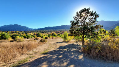 Bear Creek Dog Park