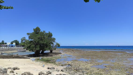 Pantai Paradiso