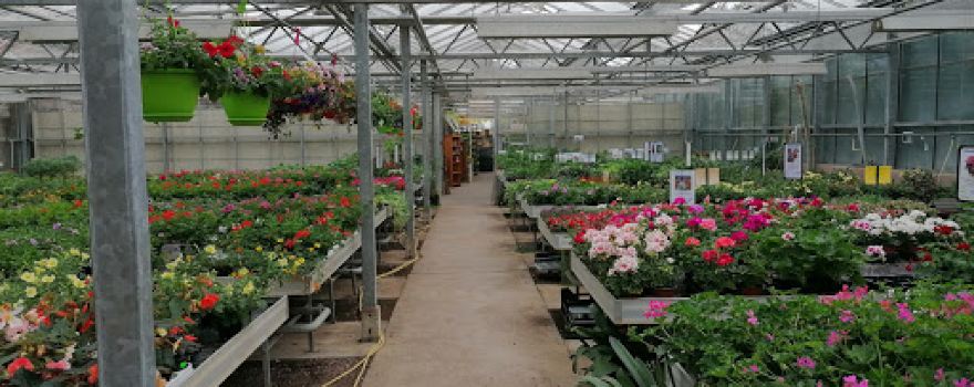 Gartenmarkt Hartl Inh. Marcus Hartl