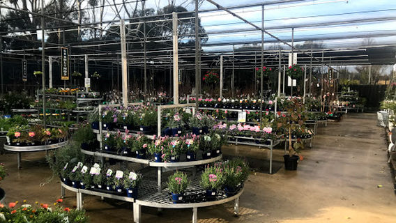 Morgan Park Garden Centre