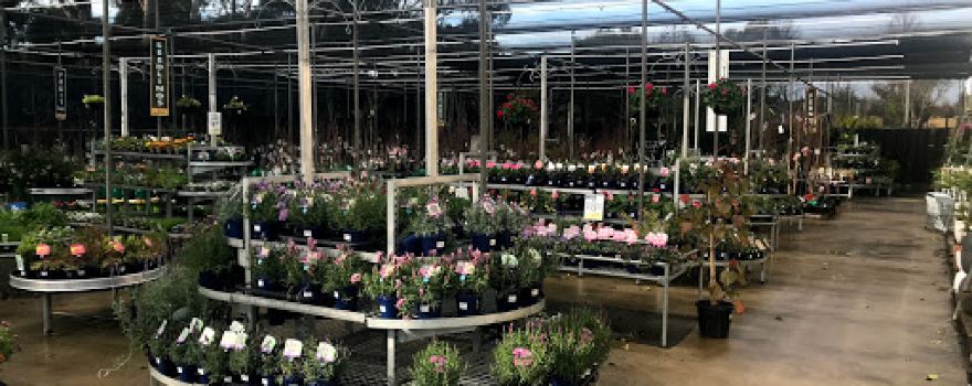 Morgan Park Garden Centre