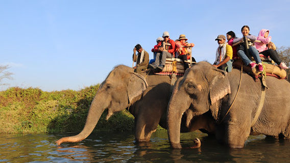 Chitwan