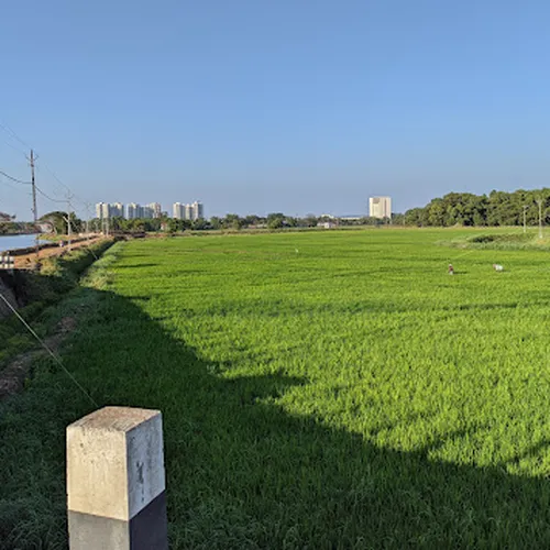 Puzhakkalthode Bridge