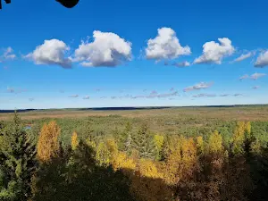 Paukjärve loodusrada