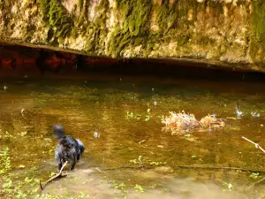 Barranco de Valdoria