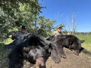 Saddle Hills Outfitting Ltd.