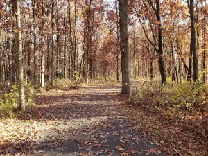 ソマー・パーク・ノース