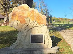 Rezervația naturală "Codrii"