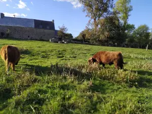 La Ferme aux 5 Saisons