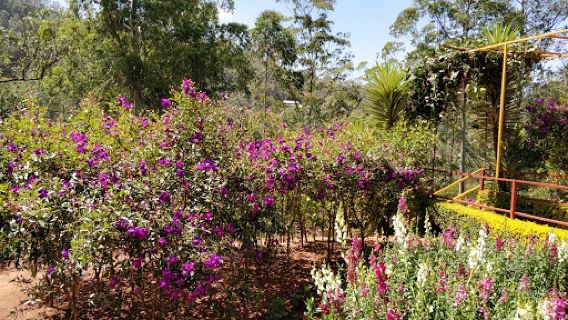 KFDC Floriculture Centre