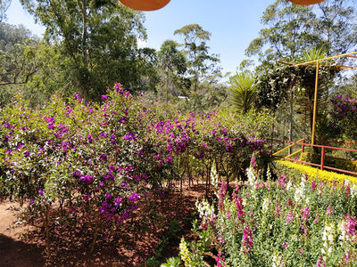 KFDC Floriculture Centre