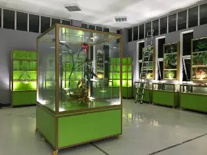 Điểm dừng chân vùng sâm Ngọc Linh 1588m