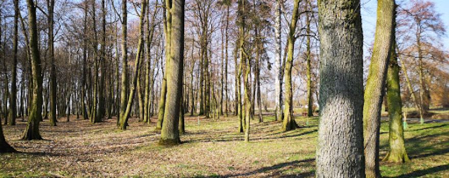 Park Miejski